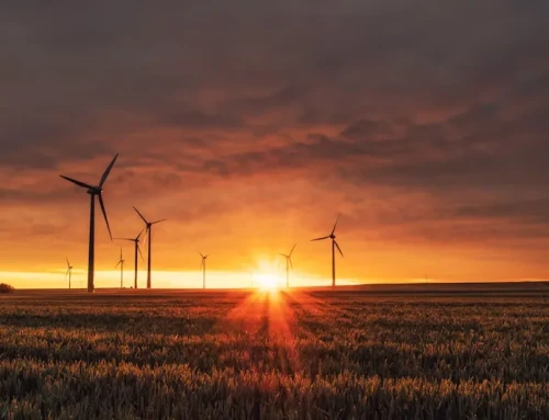 Renewable Energy Sector Sees Record Investment
